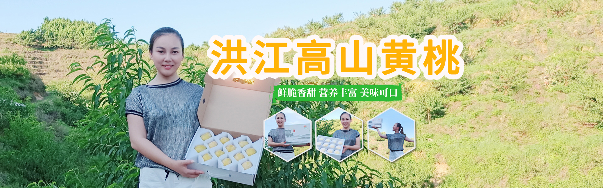 洪江市禹甜科技有限公司_黔陽瞐_農產品的批發零售